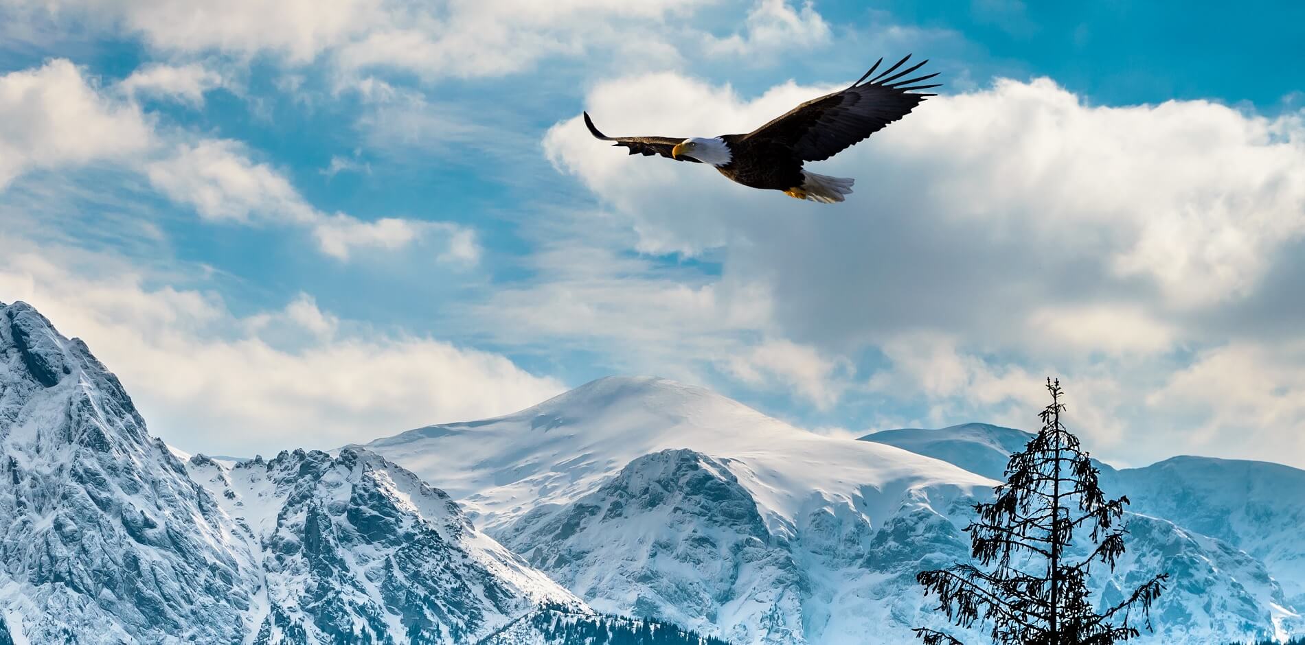 service banner image